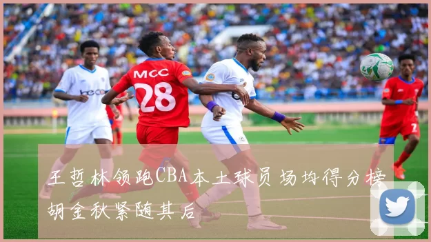 王哲林领跑CBA本土球员场均得分榜胡金秋紧随其后