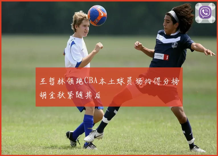 王哲林领跑CBA本土球员场均得分榜胡金秋紧随其后